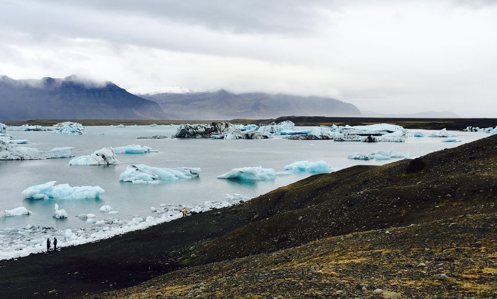 Fjallsarlon ijsbergenmeer